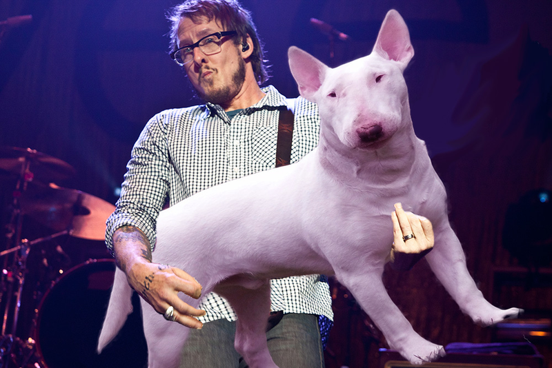 Illustration for article titled New Tumblr replaces musicians' basses with dogs, because why not?